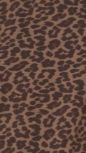Marley Shorts - Leopard Print