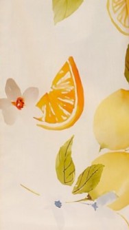 Agatha Mini Dress - Sunshine and Lemons