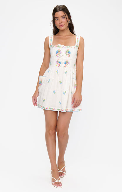 Demi Mini Dress ~ Wild Meadow Embroidery