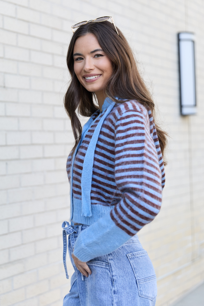 Cecile Blue And Brown Stripe Hooded Cardigan FINAL SALE