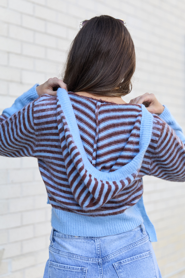Cecile Blue And Brown Stripe Hooded Cardigan FINAL SALE