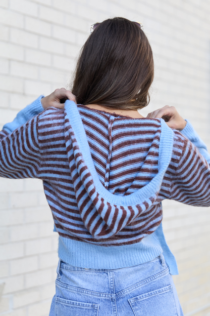 Cecile Blue And Brown Stripe Hooded Cardigan FINAL SALE